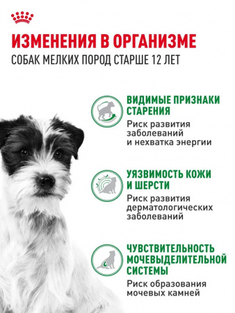 Royal Canin Mini Ageing 12+ влажный корм для собак мелких пород старше 12 лет, кусочки в соусе, паучи