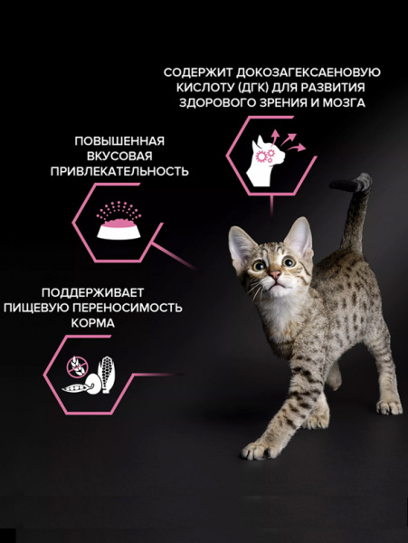 Pro Plan Kitten Delicate Digestion купить в ZooKorm24.ru
