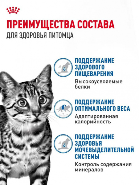Royal Canin Indoor Sterilised купить в ZooKorm24.ru