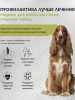 Brit Care Dog Adult M для взрослых собак средних пород, здоровье кожи и шерсти, лосось и индейка