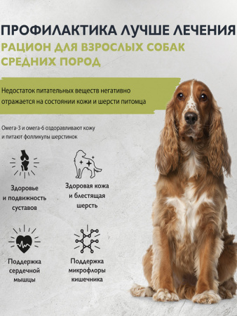 Brit Care Dog Adult M для взрослых собак средних пород, здоровье кожи и шерсти, лосось и индейка