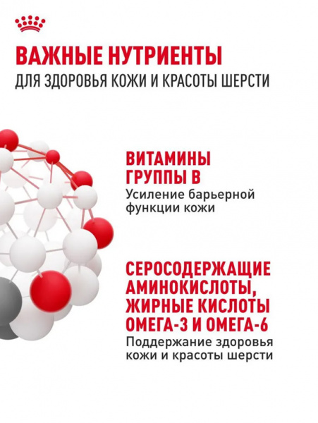 Royal Canin Hair&Skin Care купить в ZooKorm24.ru
