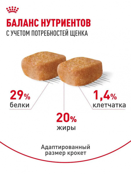 Royal Canin Yorkshire Terrier Puppy купить в ZooKorm24.ru

