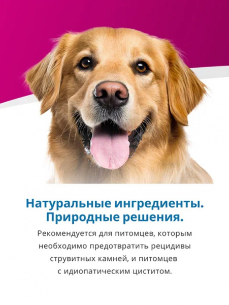 Farmina Vet Life Canine Struvite Management купить в ZooKorm24.ru