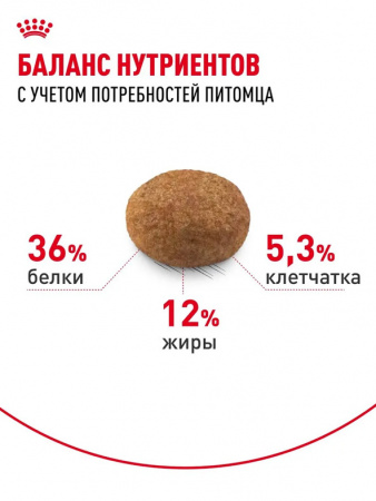 Royal Canin Sterilised +7