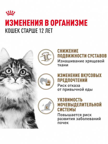 Royal Canin Ageing 12+ купить в ZooKorm24.ru
