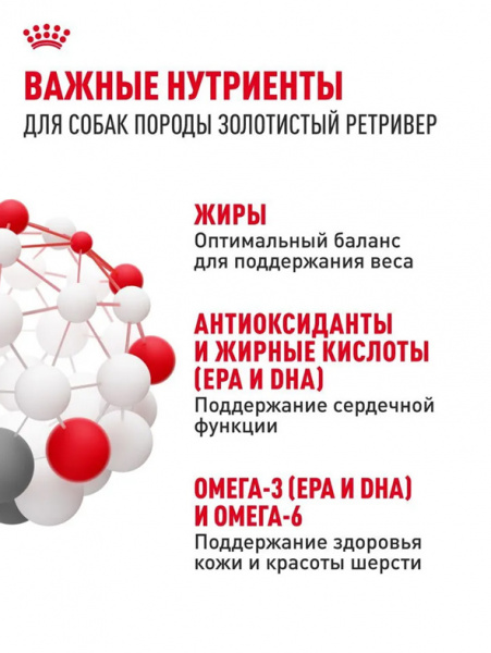 Royal Canin Golden Retriever Adult купить в ZooKorm24.ru
