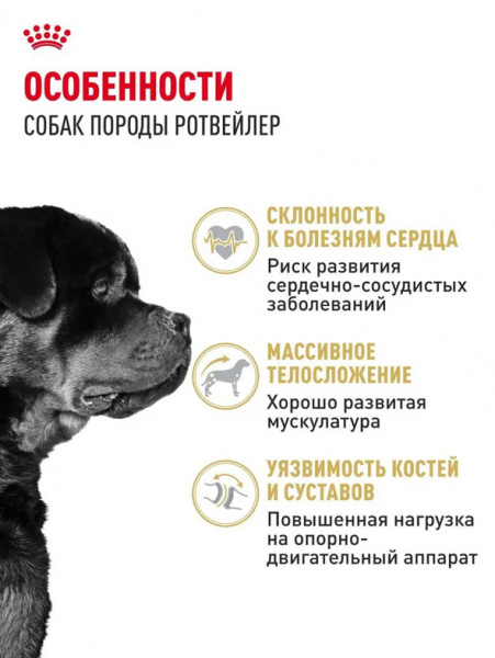 Royal Canin Rottweiler Adult купить в ZooKorm24.ru
